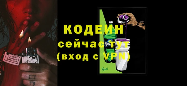 соль ск Козловка