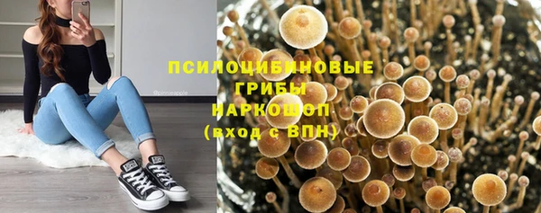 гашиш Кодинск