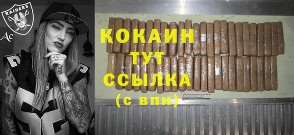 соль ск Козловка