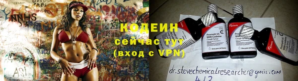 соль ск Козловка