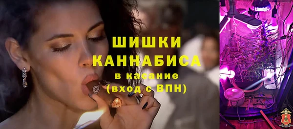 соль ск Козловка