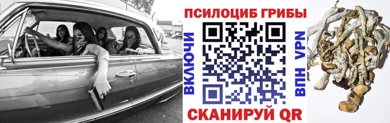 Галлюциногенные грибы ЛСД  Купить где  Дигора 